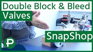 Double Block and Bleed Valves | Peerless SnapShop