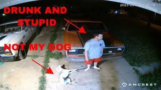 Up In Arms About Someone Else's Dogs: Drunk Guy Goes Off [nsfw]