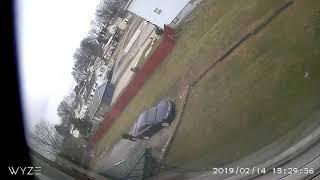 Wyze Camera video