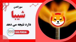 سوزاندن شیبا دارد نتیجه می دهد