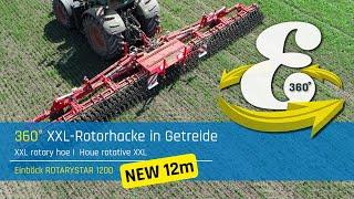 VR 360° | XXL-Rotorhacke in Getreide | Rotary hoe | Houe rotative | Einböck 360° experience #13