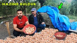 20 GÜNDÜR KAYIP OLAN YUMURTALARI BULDUK !!! Zulayı Patlattık !