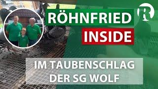 Röhnfried Inside bei der SG Wolf - Brieftaubensport