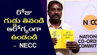 Sanjeev Chintawar | National Egg Coordination Committee | NECC | World Egg Day 2023 | Eat Egg | h5tv