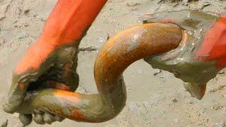 Eel Fishing / Boy Catching Eels Fishing Farm Deep Mud pond