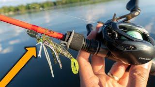 BFS Fishing With A Micro Bladed Jig!