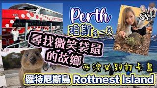 [珀斯8一8] Perth珀斯自駕遊EP3 l 西澳必到打卡靚島Rottnest Island｜尋找微笑袋鼠的足跡 l 巴士環島遊/單車環島遊 l 浮潛清晰水底 l 88 CHANNEL