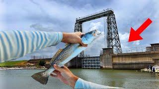 This FLOODGATE was LOADED with FISH! Fishing before HURRICANE BERYL! (Catch, Clean, Cook)