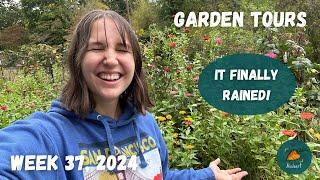 Can you believe the garden is still this beautiful? | Garden Tour WEEK 37, 2024