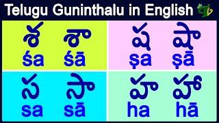 sa sha sa ha guninthalu in English | శ ష స హ గుణింతాలు| How to write telugu guninthalu