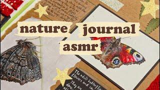 Nature Journaling ASMR - Peacock Butterfly 