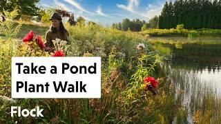 POND PLANT Walking Tour — Ep. 272