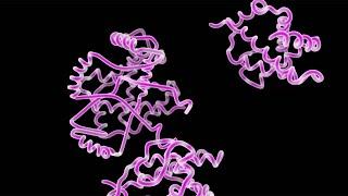 Types of Organic Molecules in Your Body