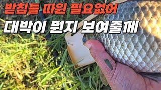 길옆 나의 애장터 대박 터지다// 떼월척 가능 #fishing #붕어낚시