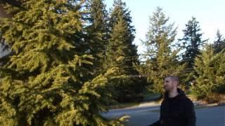 HSTS 9260 Tsunami Easily Cuts Evergreen 1 of 2