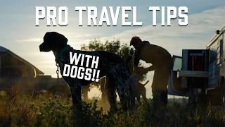 Hunting Dog Health - Tips For Traveling With Dogs