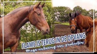 FLAME is TERUG?! + MEGA UNBOXING!! || Paardzoektbaas