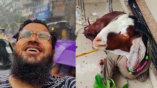 itni barish me akhir lekar hi agaye pyare bakre ko mashaAllah | Mohsin Raza Qadri ka bakra | eid .