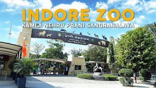 Indore Zoo Vlog | Kamla Nehru Prani Sangrahalaya | इंदौर चिड़ियाघर | Madhya Pradesh Series 2024