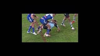Dwz vs Matt Moylan
