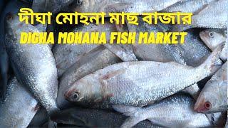 Digha Mohona Fish marketদীঘা মোহনা মাছ বাজার, Digha tour 2022, Digha sea beach, Digha mohana beach,