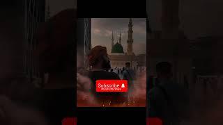 Ya Zainab S.A #like #viralvideo #yazainab