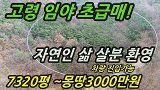 [물건번호-262]고령 사촌리 임야#7320평 #자연인삶#몽땅3000만원#은성부동산010-4584-2100