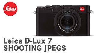 Leica D-Lux 7 - Shooting Jpegs