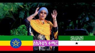 Sahra Ilays  ስኬትህን ተማር - Somaliland  Guushaada Daadihi  Official Video 2024