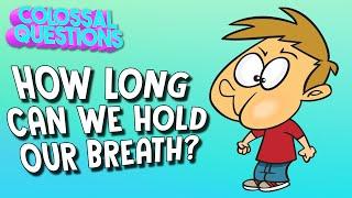 How Long Can You Hold Your Breath? | COLOSSAL QUESTIONS