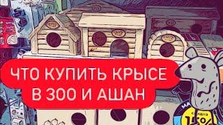 Что купить для крыс в Ашане и Зоомагазине 