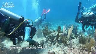 Coral Restoration Foundation™ Internship