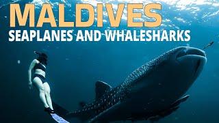 Dive into Luxury: Maldives Seaplanes and Whale Sharks