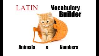 Latin Vocabulary Builder #1 - Animals & Numbers | Latin Lessons for Beginners | Latin 101