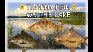 Russian Fishing 4 RF4 TROPHY FISH ON THE LAKE| GHOST CARP TROPHY