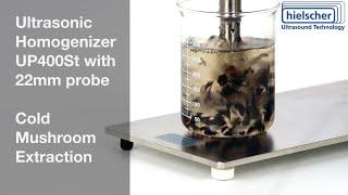 Ultrasonic Extraction of Mushrooms - #Hielscher Ultrasonics 400 Watts #Sonicator