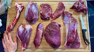 How to Butcher a Deer Hind Quarter * EVERY CUT EXPLAINED *