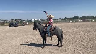 Huckleberry 2nd Video - Blue Roan Pony For Sale