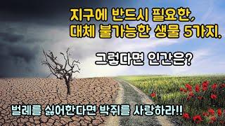 지구에 반드시 필요한, 가장 중요한 생물 5가지. 그렇다면 인간은?