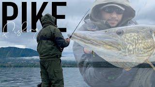 Pesca al LUCCIO ITALICO dalla Barca sul Lago di Varese - Pike Fishing