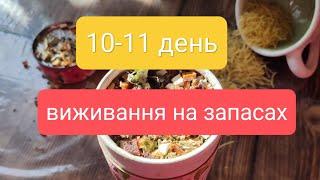 СУШІ із ЗАПАСІВ! Шашлик. День 10-11