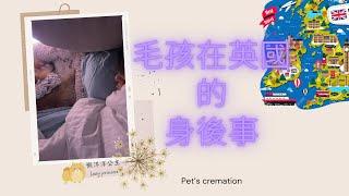 毛孩在英國的身後事 （找寵物私人火化公司  ） 一起祝福吧