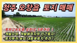 청주 오창읍 토지 매매(개발지역, 개발예정지역 인근)