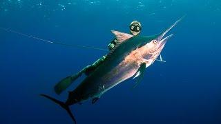 Spearfishing Madagascar & Mozambique with MJK