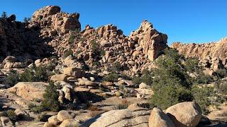 Route 423: Joshua Tree National Park