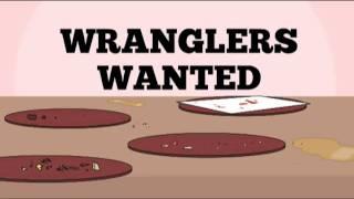 Wranglers Wanted