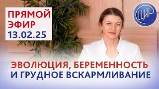 Теория эволюции, беременность и грудное вскармливание. Эфир со С. Н. Дементьевой