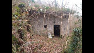 CABAÑA PRIARES, ASTURIAS