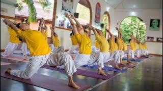 Best Hatha Yoga Program | Sivananda Ashram at Kerala | yoga at rishikesh and himalayas