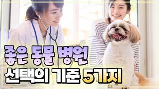 어떤 동물병원이 좋은 병원 일까요?